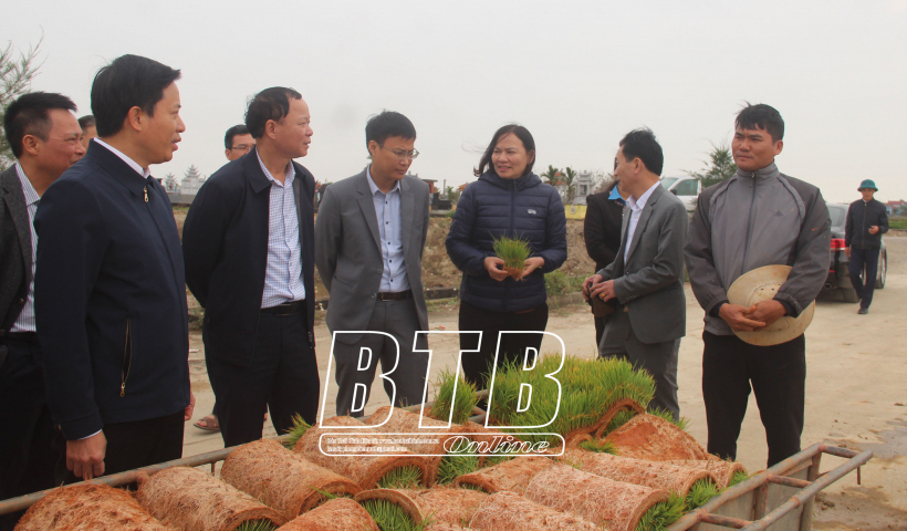 Đẩy nhanh tiến độ gieo cấy l&uacute;a xu&acirc;n bảo đảm lịch thời vụ