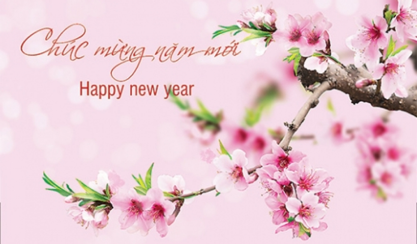 Đồng ch&iacute; Chủ tịch UBND tỉnh ch&uacute;c tết c&aacute;n bộ, đảng vi&ecirc;n, nh&acirc;n d&acirc;n trong tỉnh, những người con xa qu&ecirc;, người nước ngo&agrave;i đang học tập v&agrave; l&agrave;m việc tại Th&aacute;i B&igrave;nh