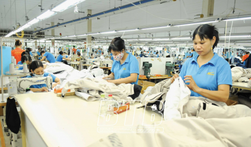 Dự kiến thu ng&acirc;n s&aacute;ch nh&agrave; nước năm 2020 ước thực hiện 6.975 tỷ đồng 