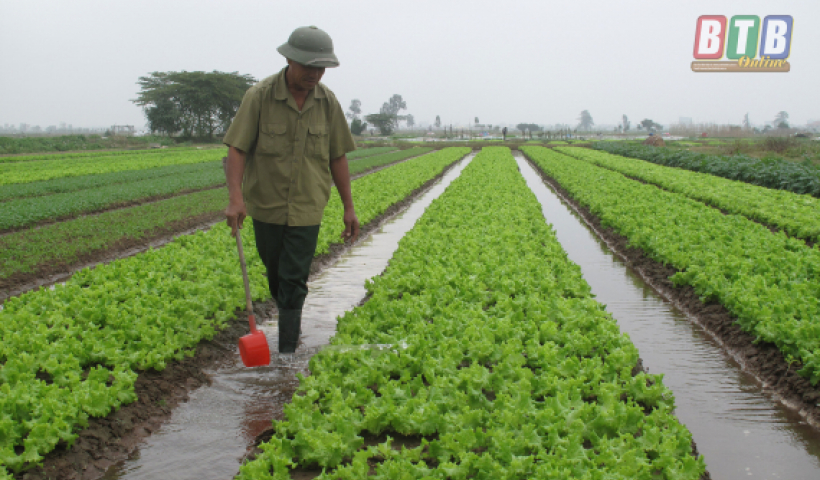 Năm 2019, tỷ lệ hộ ngh&egrave;o của Th&aacute;i B&igrave;nh giảm 0,69%