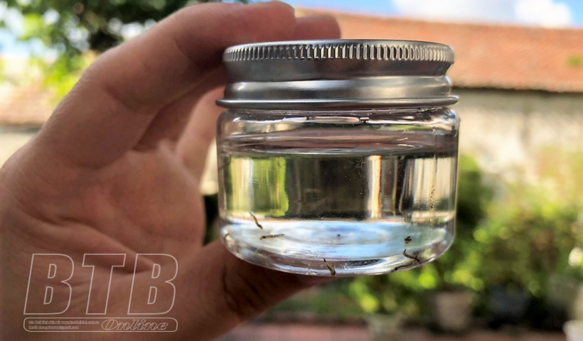 Gia tăng ca mắc sốt xuất huyết, nguy cơ dịch hiện hữu 