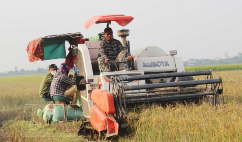 H&agrave;ng năm c&oacute; 75,1% số hộ gia đ&igrave;nh hội vi&ecirc;n n&ocirc;ng d&acirc;n đạt danh hiệu &ldquo;Sản xuất, kinh doanh giỏi&rdquo; c&aacute;c cấp