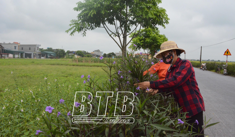 Hơn 2.100 c&ocirc;ng tr&igrave;nh, phần việc của phụ nữ tham gia x&acirc;y dựng n&ocirc;ng th&ocirc;n mới, đ&ocirc; thị văn minh