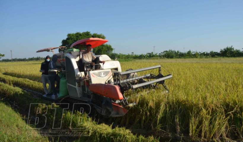 Hướng tới "n&ocirc;ng nghiệp kh&ocirc;ng dấu ch&acirc;n"