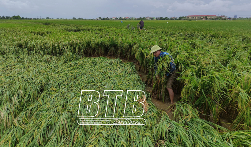 Khẩn trương khắc phục hậu quả mưa lớn g&acirc;y ra