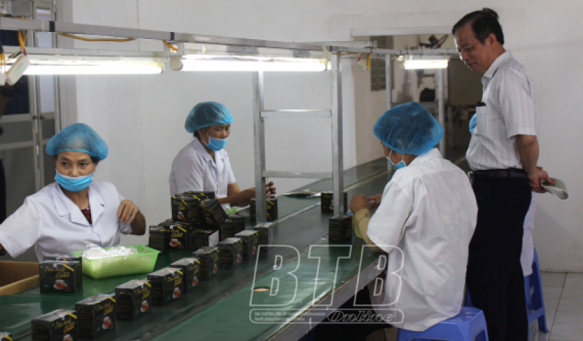 Khoa học v&agrave; c&ocirc;ng nghệ l&agrave; 1 trong 3 kh&acirc;u đột ph&aacute; ph&aacute;t triển kinh tế - x&atilde; hội của tỉnh Th&aacute;i B&igrave;nh