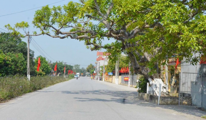 Khởi sắc v&ugrave;ng qu&ecirc; c&aacute;ch mạng