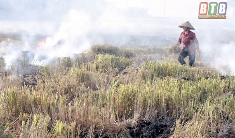 Kh&ocirc;ng đốt rơm rạ để bảo vệ m&ocirc;i trường v&agrave; trật tự an to&agrave;n giao th&ocirc;ng