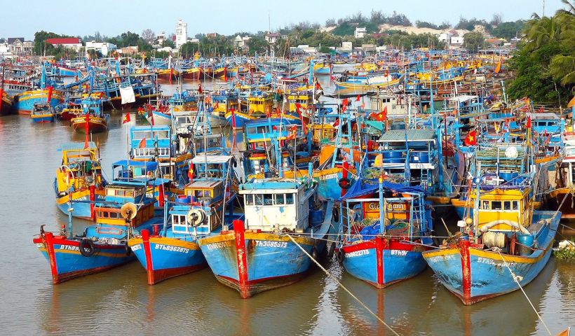 Kiểm tra, kiểm so&aacute;t 100% t&agrave;u c&aacute; xuất, nhập bến tại đồn/trạm bi&ecirc;n ph&ograve;ng tuyến biển