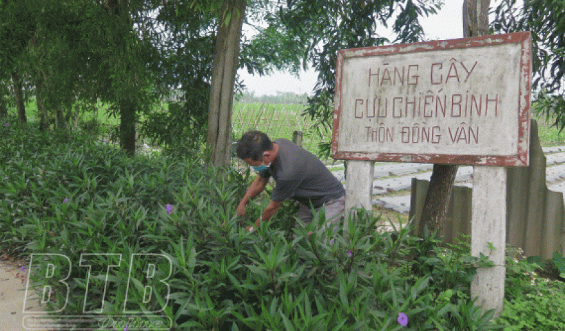 Kiến Xương: Tr&ecirc;n 98% hội vi&ecirc;n đạt danh hiệu cựu chiến binh gương mẫu