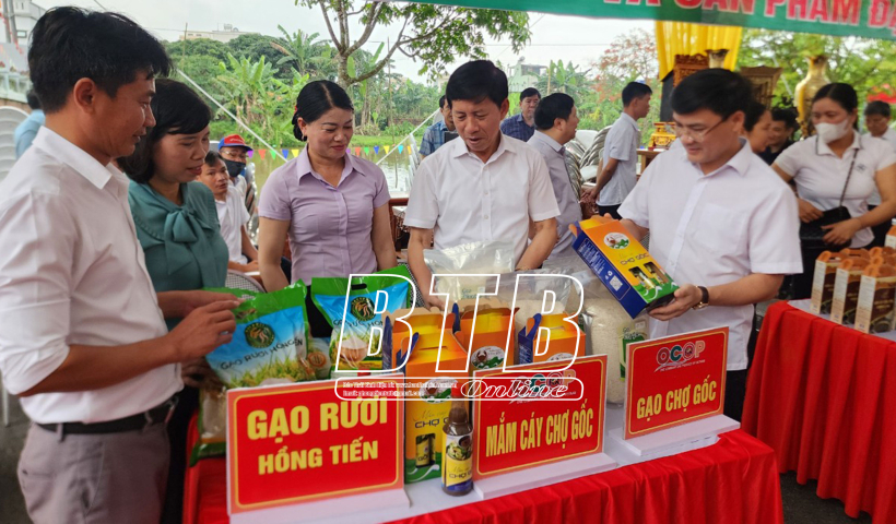 Lễ hội đền Đồng X&acirc;m năm 2024 diễn ra từ ng&agrave;y 8 - 10/5