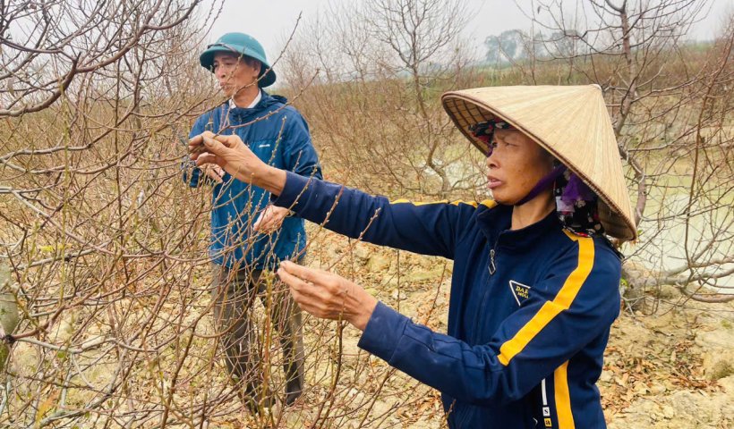 Mang m&ugrave;a xu&acirc;n đến từng nh&agrave;