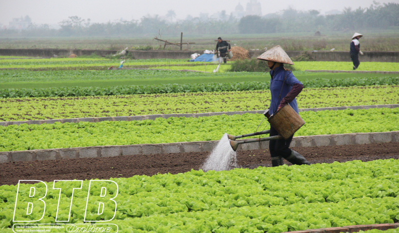 Ng&agrave;nh N&ocirc;ng nghiệp v&agrave; Ph&aacute;t triển n&ocirc;ng th&ocirc;n với mục ti&ecirc;u tăng trưởng trung b&igrave;nh từ 2,0%/năm trở l&ecirc;n