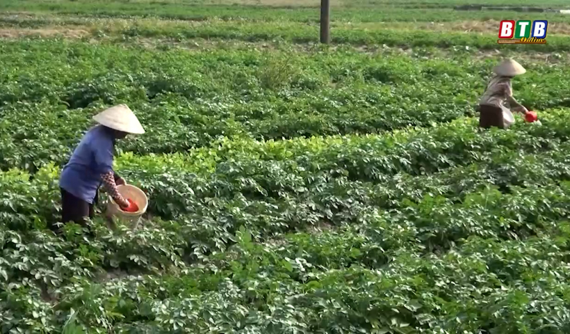 Nguy&ecirc;n Xá ổn định sản xuất, đời sống sau đại dịch