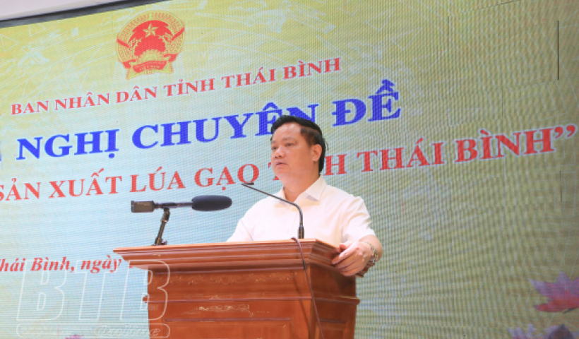 Phấn đấu đến năm 2025 x&acirc;y dựng được thương hiệu gạo mang t&ecirc;n Th&aacute;i B&igrave;nh