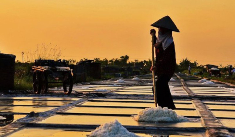 Ph&aacute;t triển nghề muối gắn với du lịch trải nghiệm