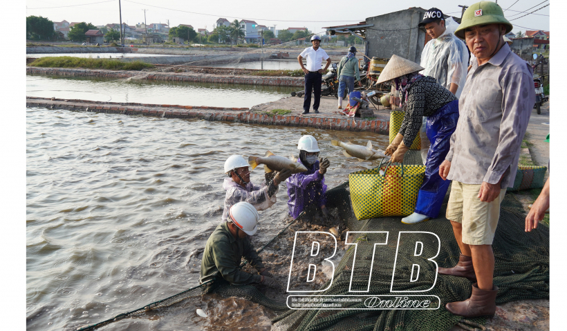 Phối hợp tham gia hỗ trợ ph&aacute;t triển kinh tế tập thể giai đoạn 2024 - 2030