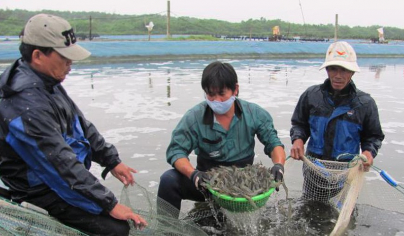Quy hoạch ph&acirc;n khu x&acirc;y dựng tỷ lệ 1/2.000 khu nu&ocirc;i trồng thủy hải sản c&ocirc;ng nghệ cao