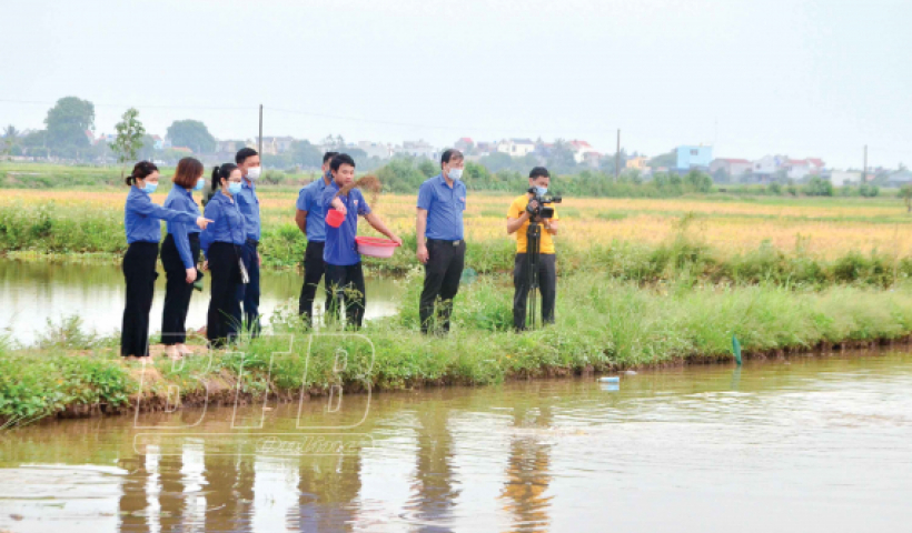 Quỳnh Phụ c&oacute; hơn 250 m&ocirc; h&igrave;nh thanh ni&ecirc;n ph&aacute;t triển kinh tế hiệu quả cao