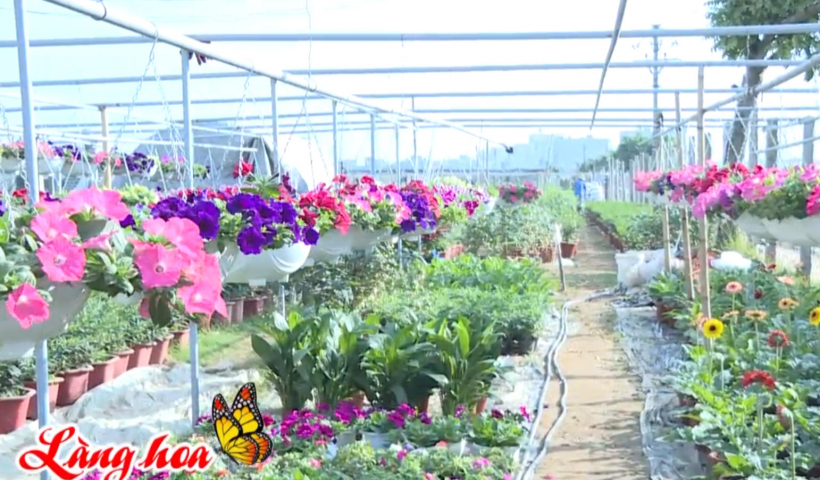 Sắc xu&acirc;n l&agrave;ng hoa Vũ Ch&iacute;nh 