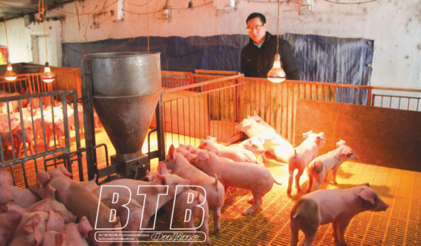 Tăng cường chống đ&oacute;i, r&eacute;t cho vật nu&ocirc;i 