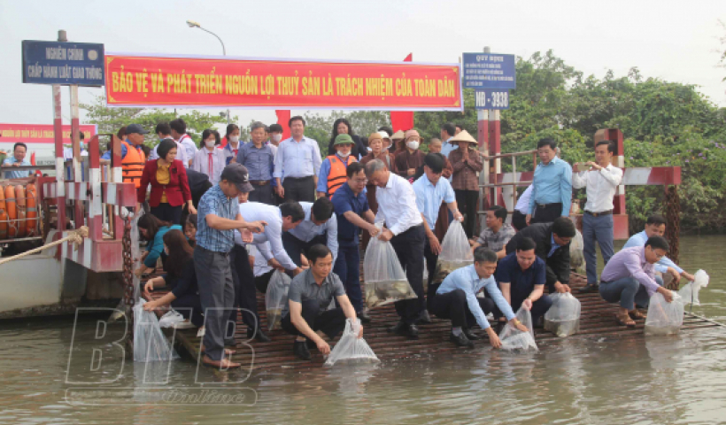 Thả 14.100 con c&aacute; giống nước ngọt tr&ecirc;n s&ocirc;ng Hồng
