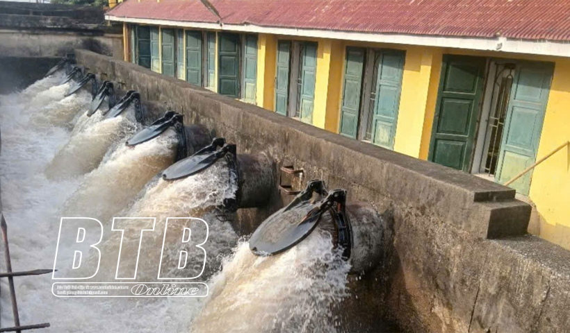 Th&aacute;i B&igrave;nh: Tr&ecirc;n 30% tổng diện t&iacute;ch gieo cấy vụ xu&acirc;n đ&atilde; c&oacute; nước