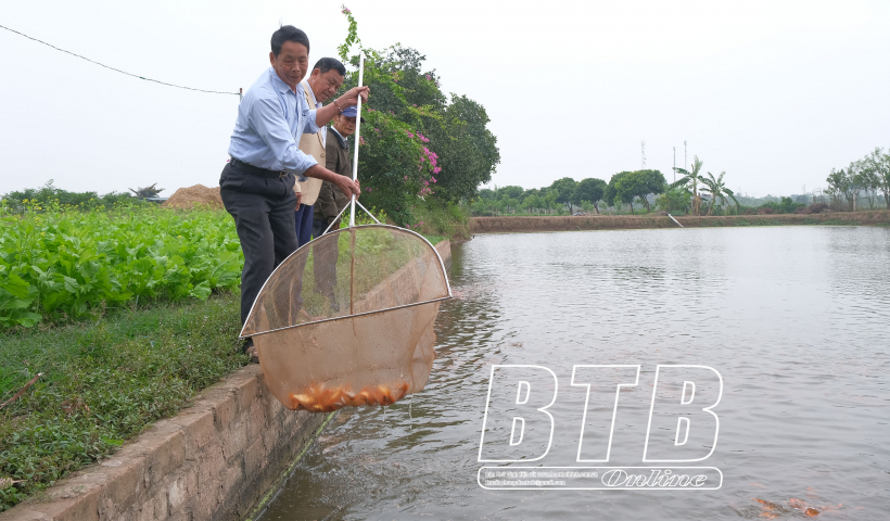 Th&aacute;i B&igrave;nh: Tr&ecirc;n 3.760 người cao tuổi đang l&agrave; chủ trang trại, cơ sở sản xuất, kinh doanh c&oacute; thu nhập cao