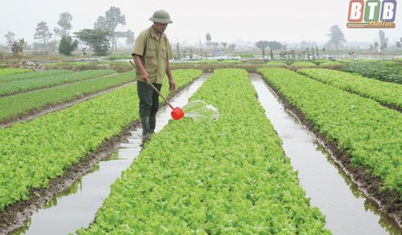 Th&aacute;i B&igrave;nh triển khai thực hiện Chương tr&igrave;nh mỗi x&atilde; một sản phẩm năm 2020