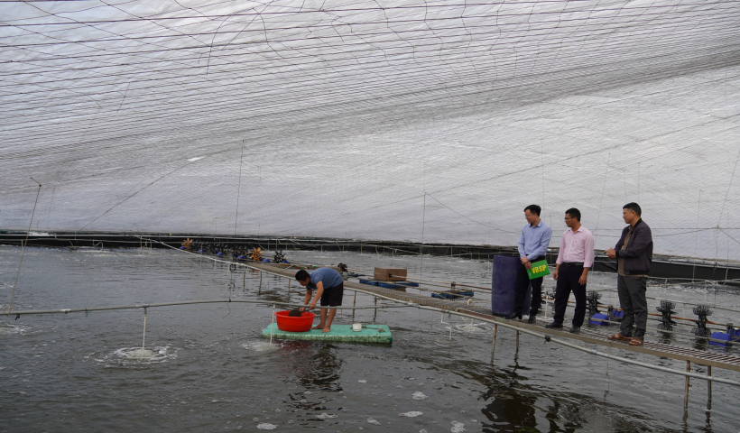 Th&aacute;i Thụy: Vốn ch&iacute;nh s&aacute;ch gi&uacute;p n&ocirc;ng d&acirc;n l&agrave;m gi&agrave;u