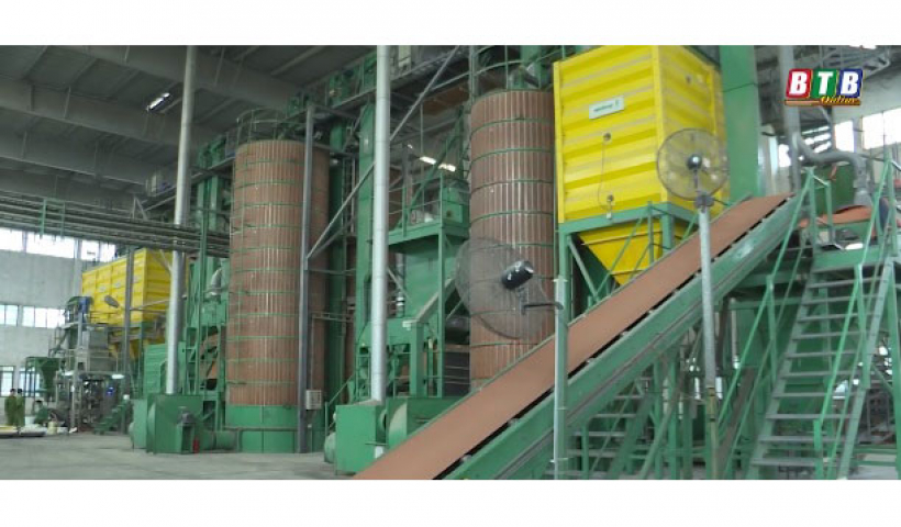 ThaiBinh Seed đơn vị ti&ecirc;n phong c&ocirc;ng nghiệp h&oacute;a ng&agrave;nh giống c&acirc;y trồng 