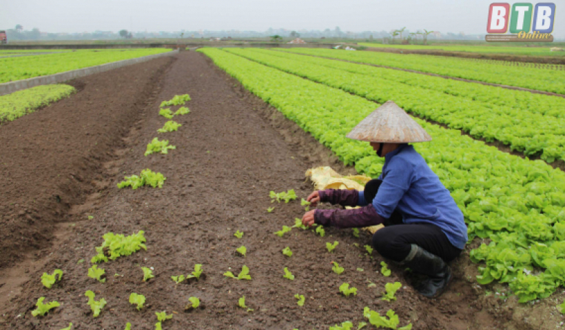 Thống nhất đề &aacute;n sản xuất vụ m&ugrave;a, vụ đ&ocirc;ng năm 2020