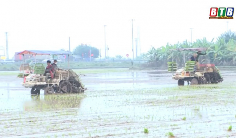 T&iacute;ch tụ ruộng đất - Xu thế tất yếu của sản xuất n&ocirc;ng nghiệp