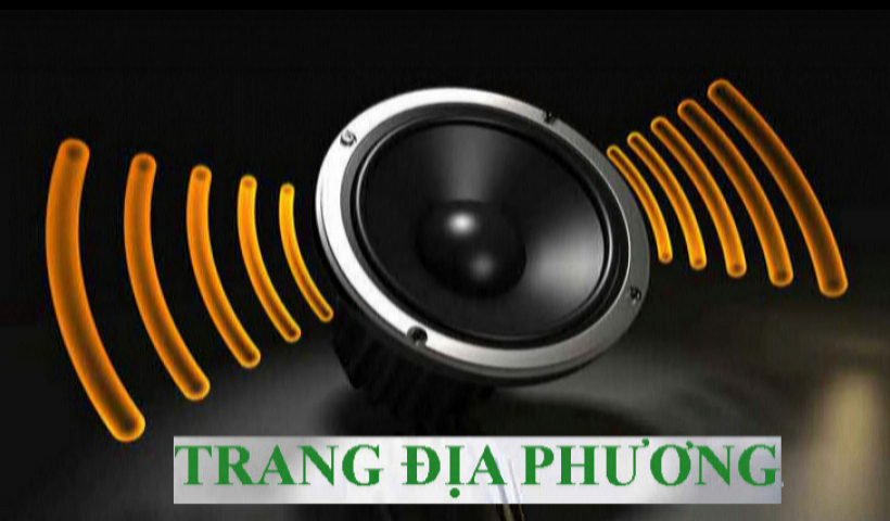 Trang địa phương số 11 ( Đ&agrave;i TT-TH Đ&ocirc;ng Hưng thực hiện)