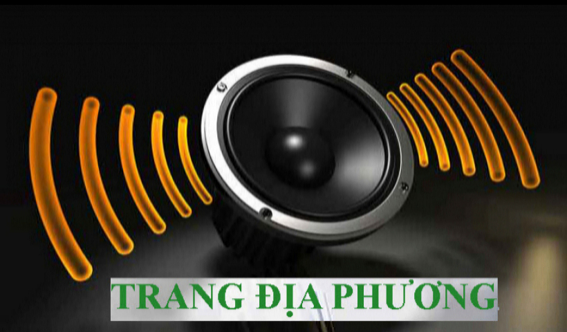 	Trang địa phương số 9 ( Đ&agrave;i TT - TH Quỳnh Phụ thực hiện)