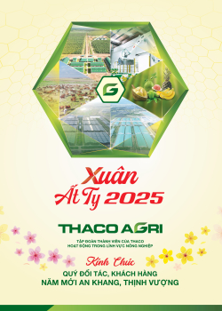 B&aacute;o tết Xu&acirc;n Ất Tỵ 2025