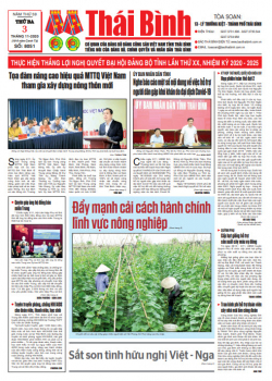 Số 8051- Thứ 3 ng&agrave;y 03/11/2020