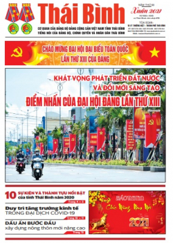 Số 8102 + 8103 v&agrave; Th&aacute;i B&igrave;nh chủ nhật 679