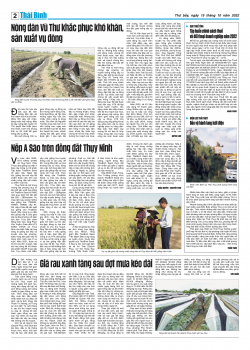 Số: 8661 - Thứ 7 ng&agrave;y 15/10/2022