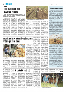 Số: 8682 - Thứ 4 ng&agrave;y 9/11/2022