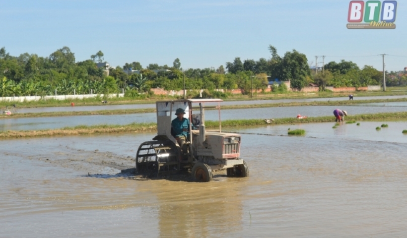 N&ocirc;ng d&acirc;n x&atilde; Minh Khai (Hưng H&agrave;) l&agrave;m đất sản xuất vụ m&ugrave;a.