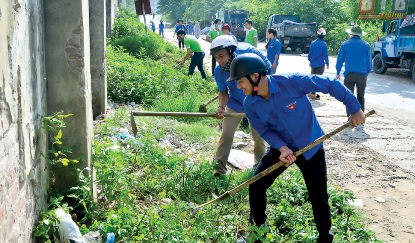 Đo&agrave;n vi&ecirc;n, thanh ni&ecirc;n ph&aacute;t quang bụi rậm khu vực chợ hải sản (phường L&ecirc; Hồng Phong, th&agrave;nh phố Th&aacute;i B&igrave;nh).
