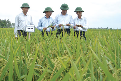 Vang m&atilde;i b&agrave;i ca "năm tấn" để tiến l&ecirc;n 13 tấn/năm