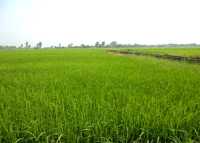 Th&agrave;nh c&ocirc;ng nhờ sự đồng thuận cao

