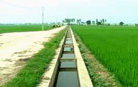 Nếu kh&ocirc;ng quyết liệt sẽ kh&oacute; ho&agrave;n th&agrave;nh dồn điền đổi thửa đất n&ocirc;ng nghiệp trong năm 2011