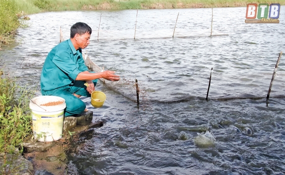 Th&ocirc;n đội trưởng l&agrave;m gi&agrave;u từ v&ugrave;ng đất b&atilde;i