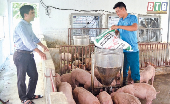 Tuổi trẻ Duy&ecirc;n Hải lập th&acirc;n, lập nghiệp