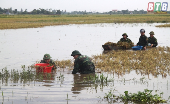 Bộ đội về v&ugrave;ng rốn nước