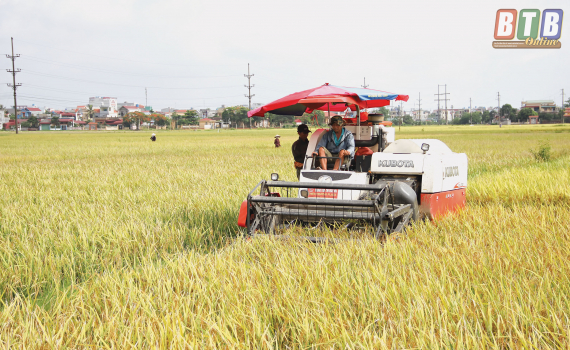 Kết quả sơ bộ tổng điều tra dân số và nhà ở năm 2019