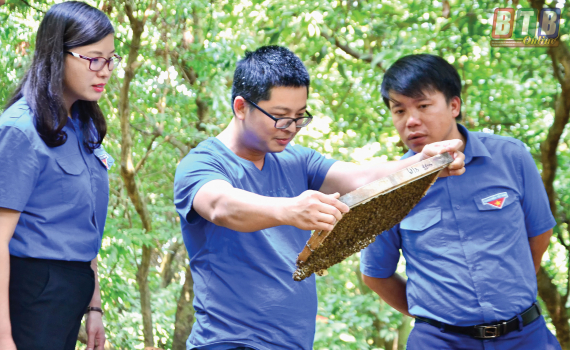 Đồng hành cùng thanh niên phát triển kinh tế